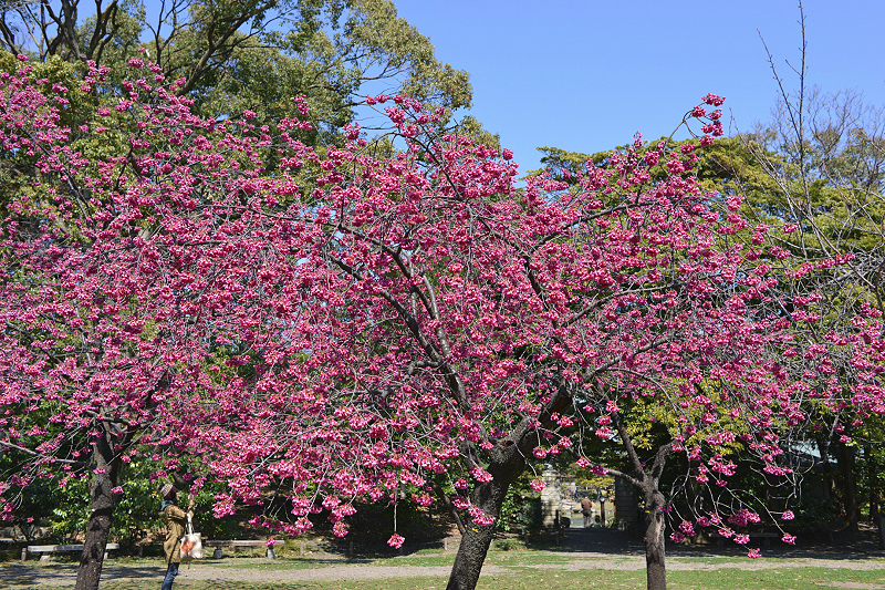 image0260