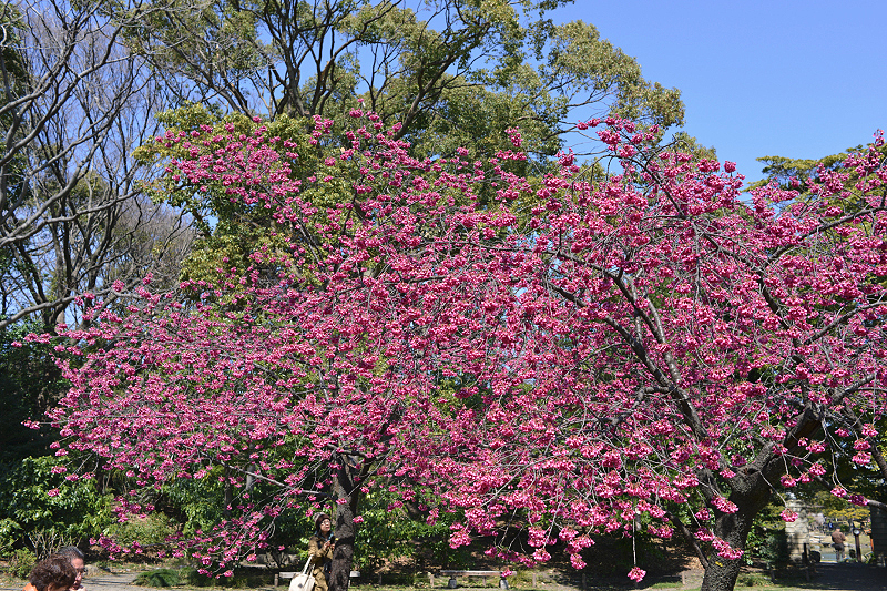 image0261