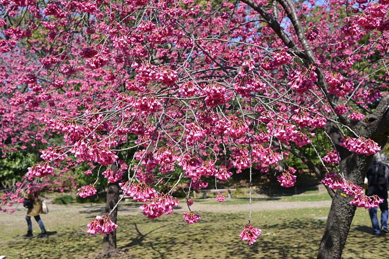 image0262