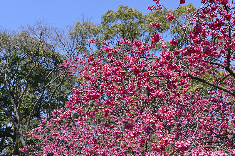 image0263