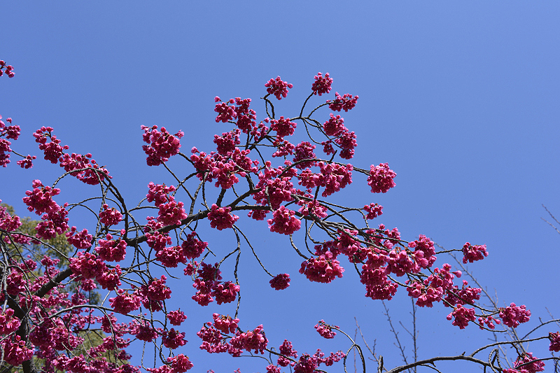 image0266