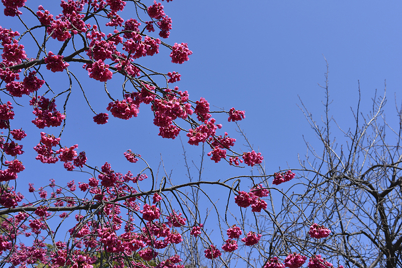 image0267