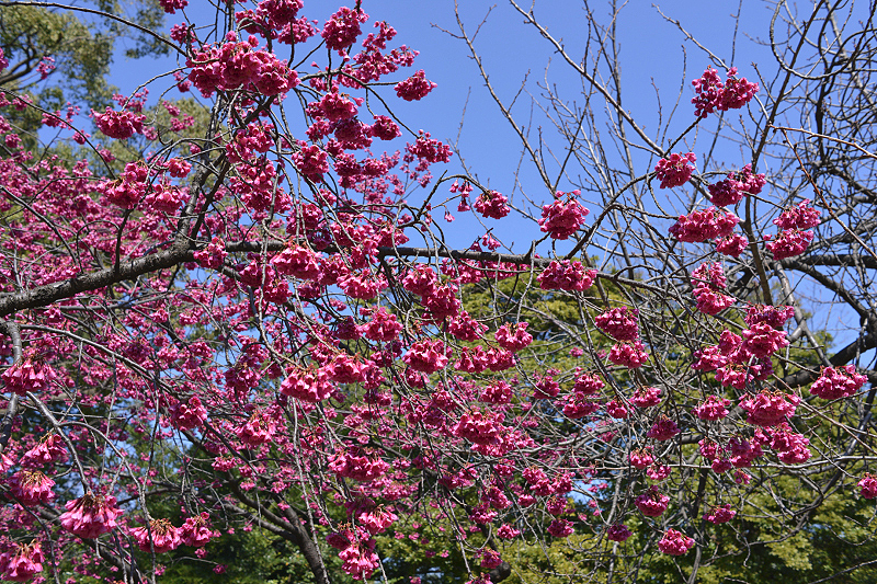 image0270