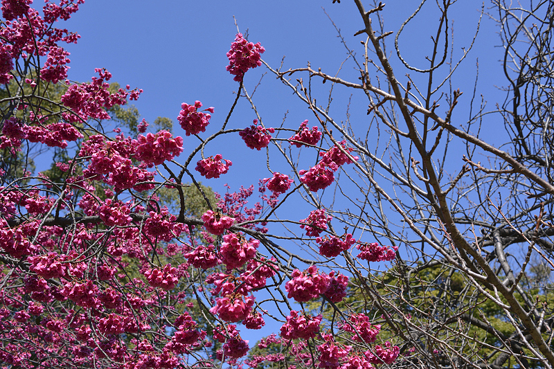 image0271