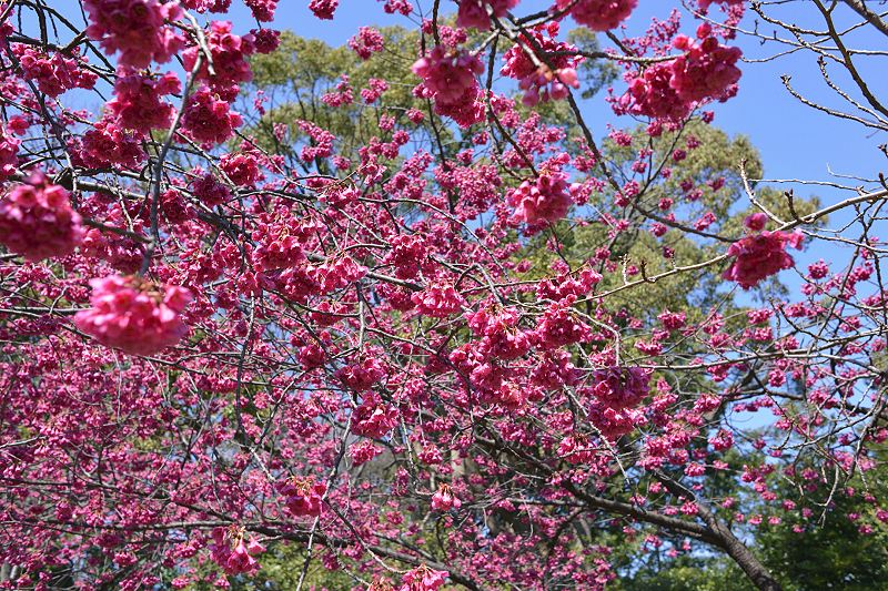 image0272