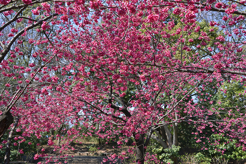 image0273