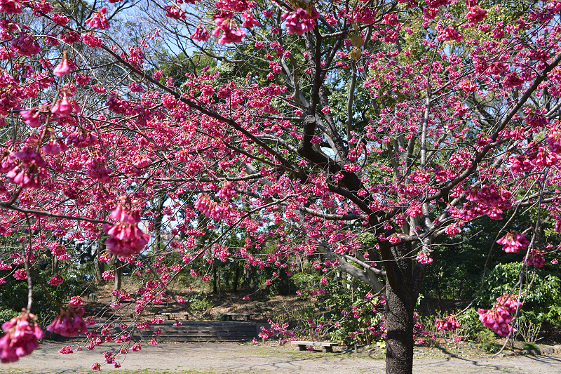 image0275
