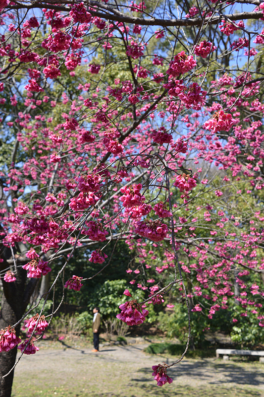 image0276
