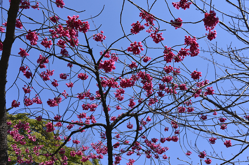 image0277