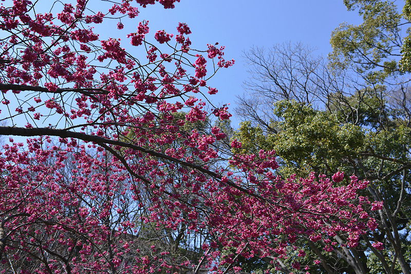image0280