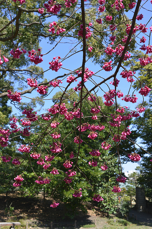 image0281