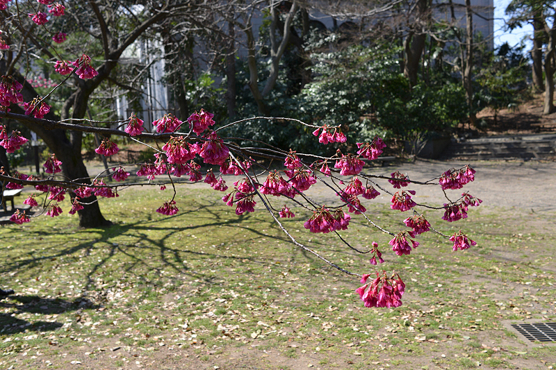 image0282