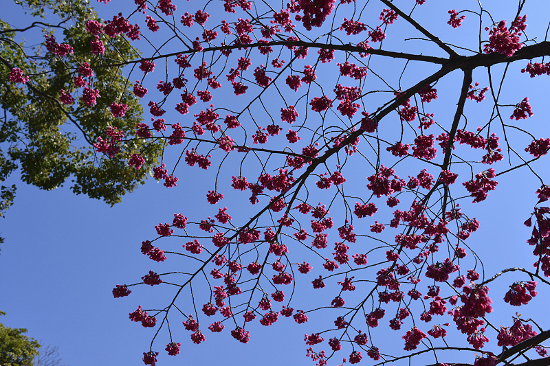 image0285