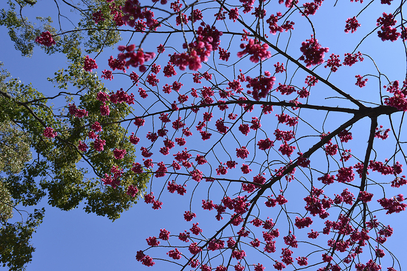 image0286