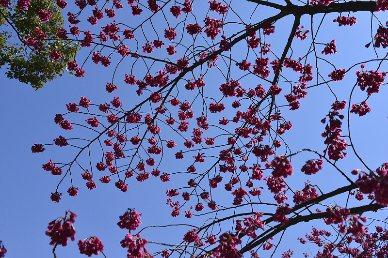 image0287