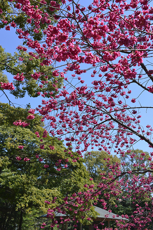 image0288