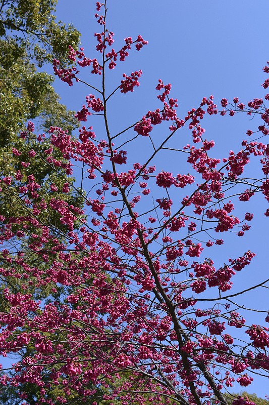 image0289