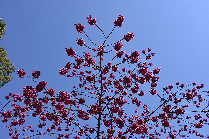 image0290