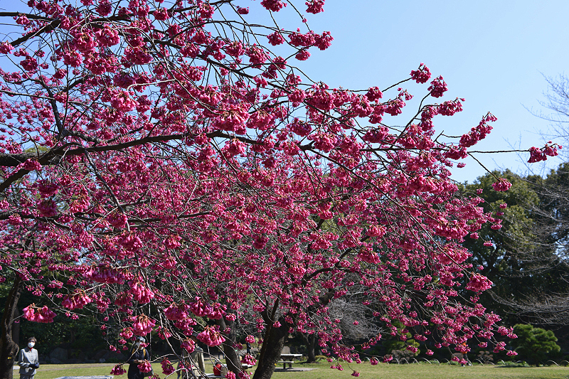 image0291