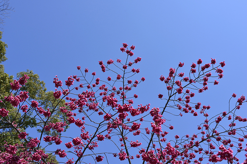 image0292