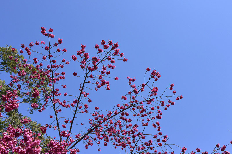 image0293
