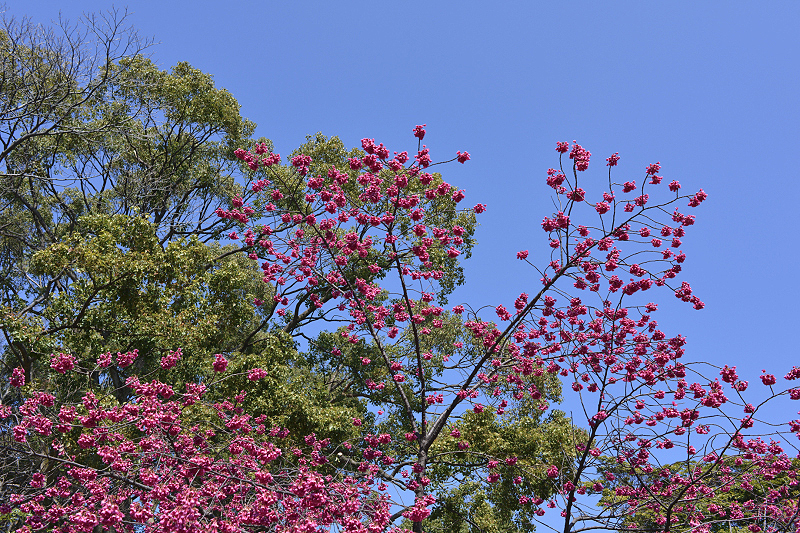 image0294