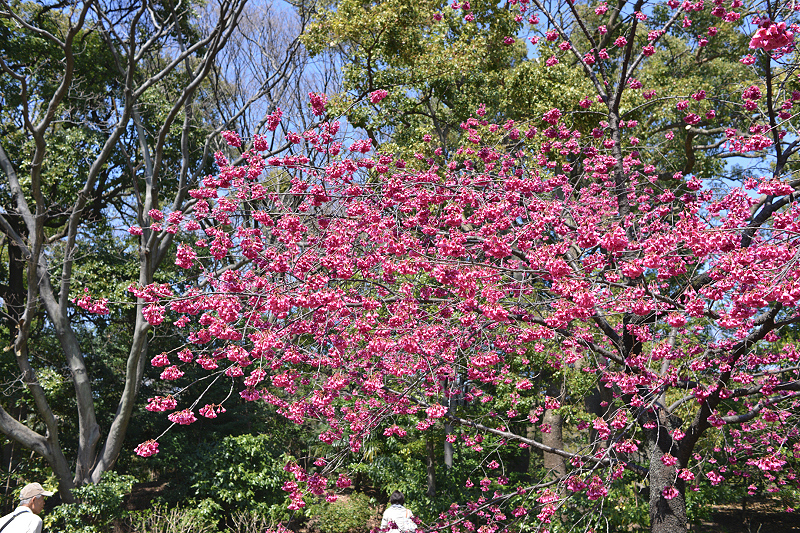 image0295