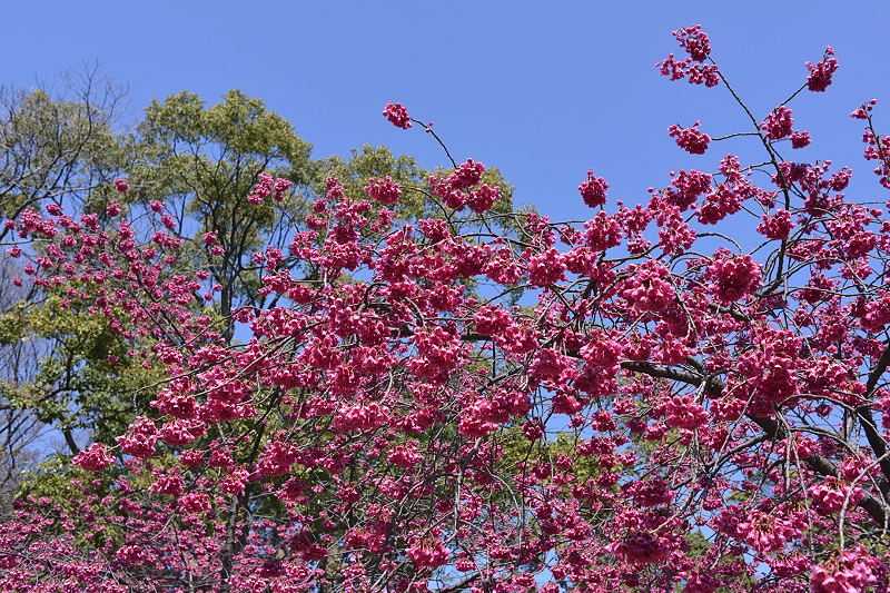 image0297