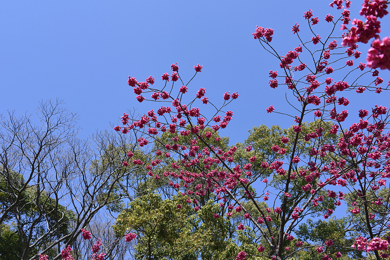 image0298