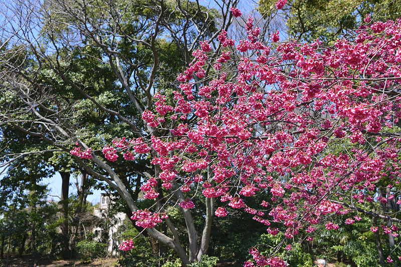 image0300