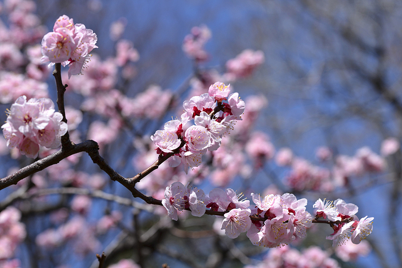image0303