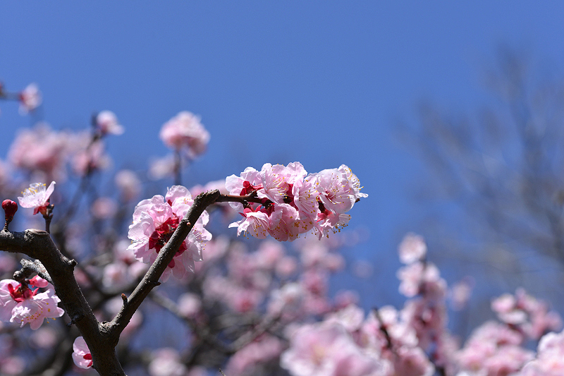 image0304