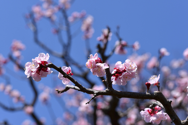 image0305