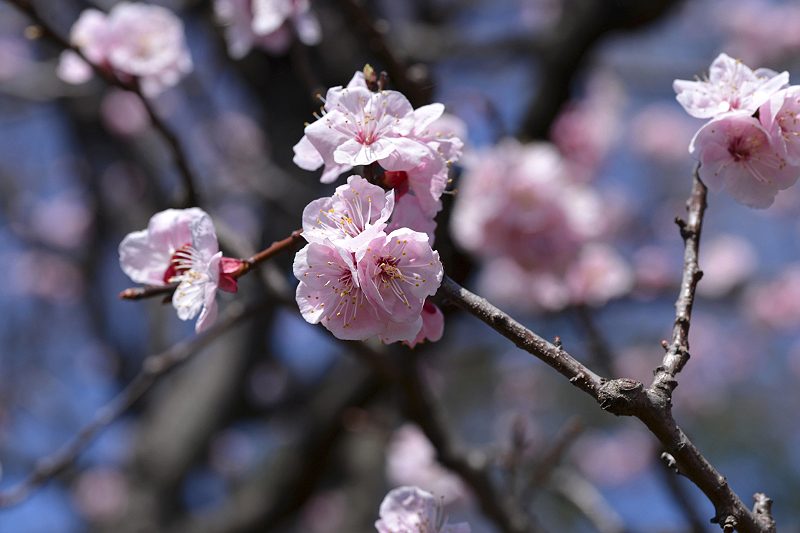 image0307