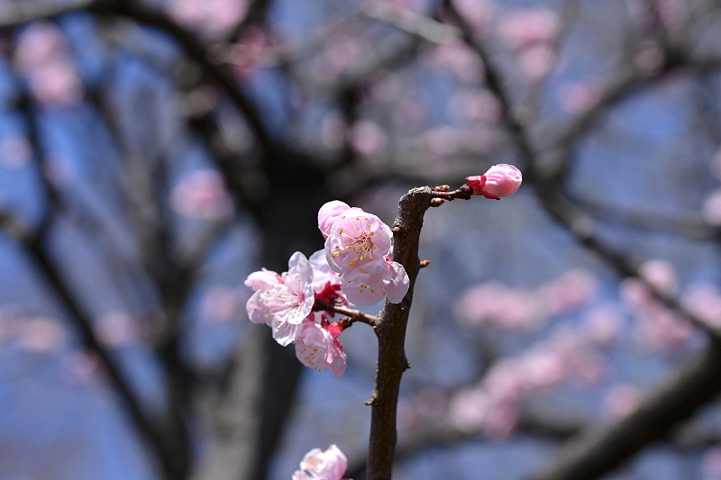 image0313