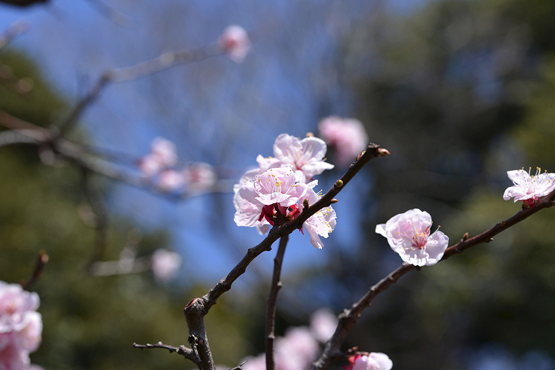 image0314