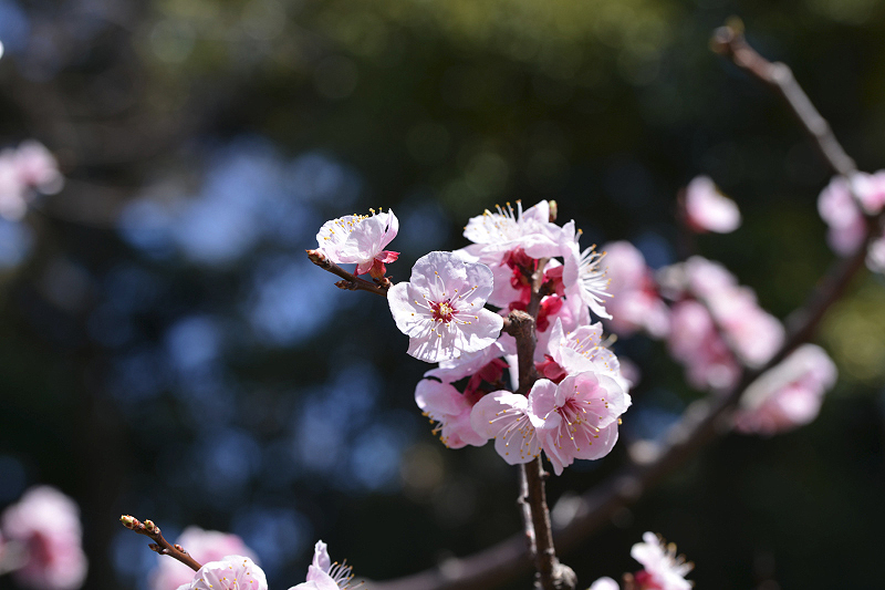 image0315