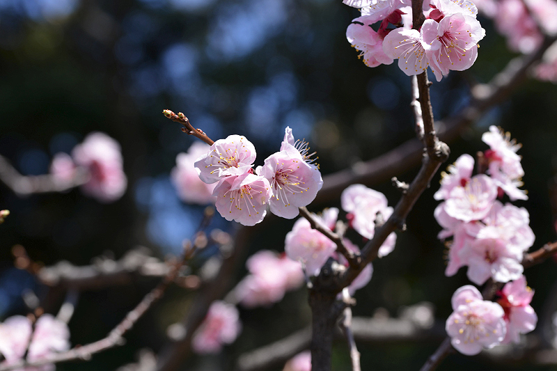 image0316