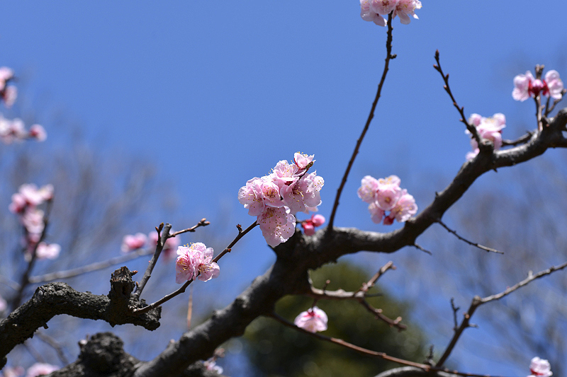 image0317