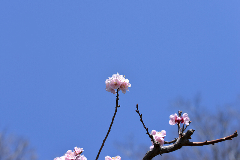 image0318
