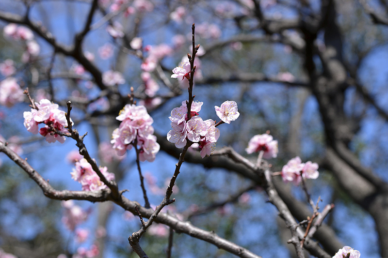 image0327
