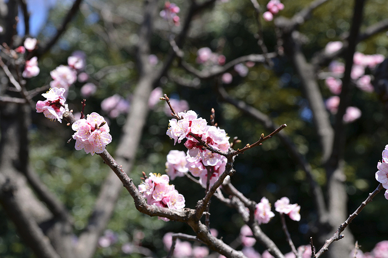 image0330