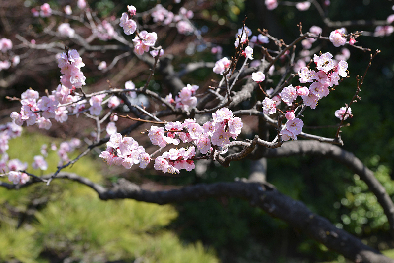 image0334
