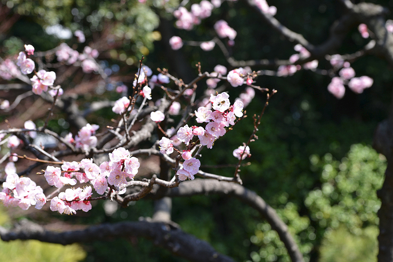 image0335