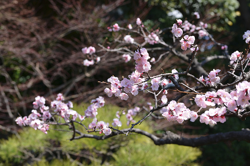 image0336