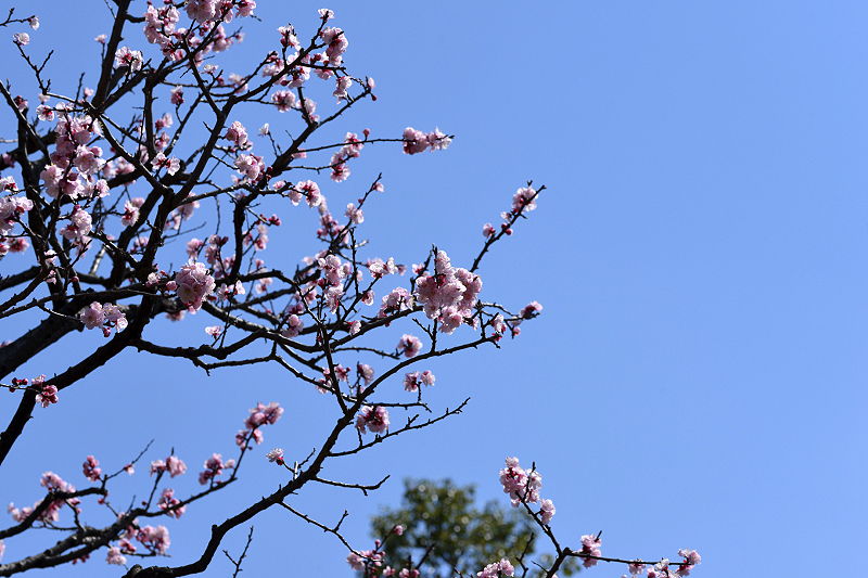 image0344