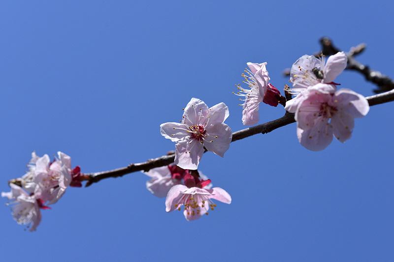 image0362