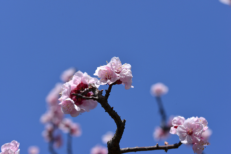 image0363