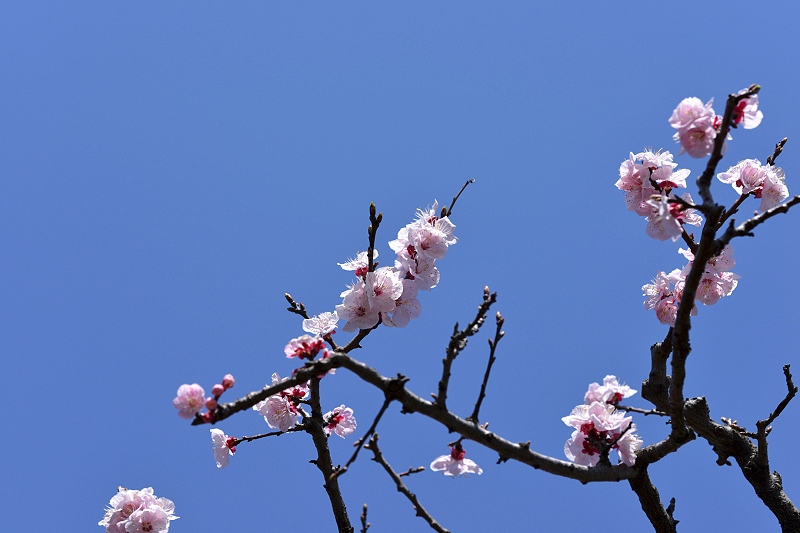image0366