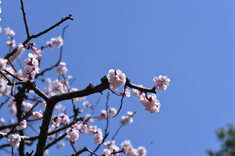 image0371